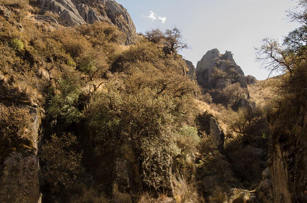 Este monte de Tabaquillos se espesa en las laderas y faldas de estos cerros de granito. Parecen encantados, con la luz que, mortecina, huye fugitiva hacia el ocaso. 